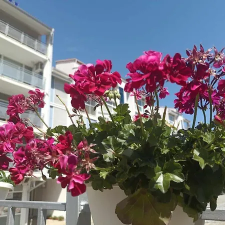 Apartman 2-bedroom With Pool In Elit 2 *